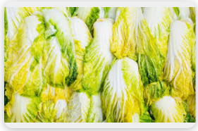 절임배추 씻기부터 냉장보관까지 완벽 가이드