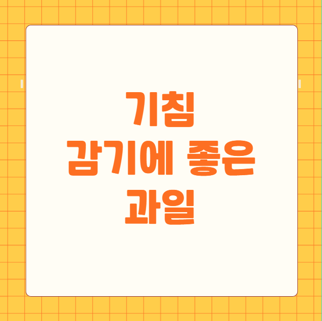 기침 감기에 좋은 과일