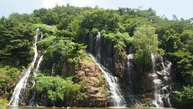 제천 가볼만한곳 베스트10 현지인 추천 필수코스_6