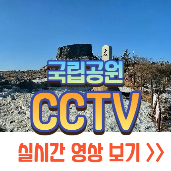 국립공원 실시간 cctv