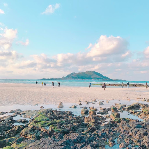 국내 이국적인 역대급 여행지 추천