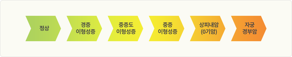 자궁경부암진행단계표