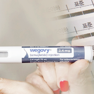 미국 비만치료제 관련주 대장주 테마주 TOP5