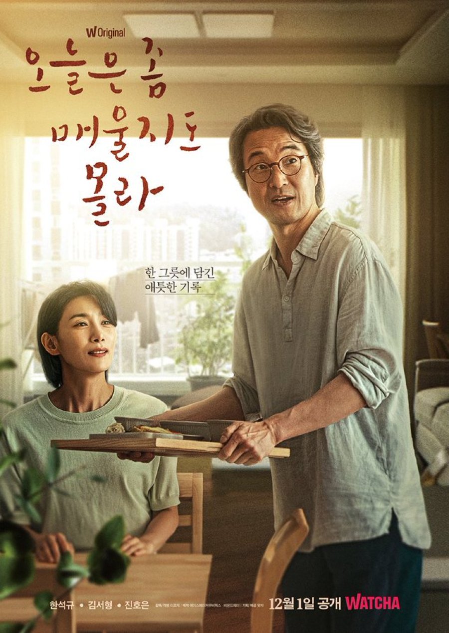 [왓챠 드라마 추천] 오늘은 좀 매울지도 몰라 줄거리, 결말, 몇부작, 등장인물 한석규, 김서형, 진호은, 양경원