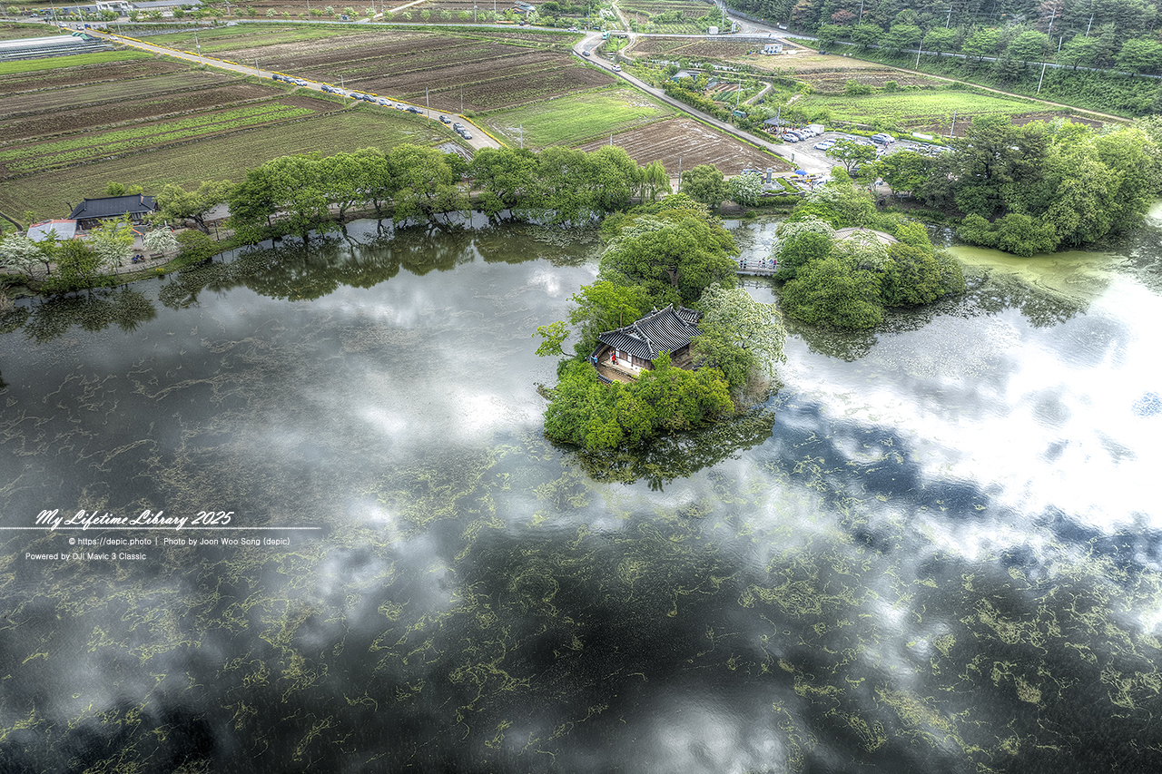 #밀양 #저수지 #위양지 #이팝