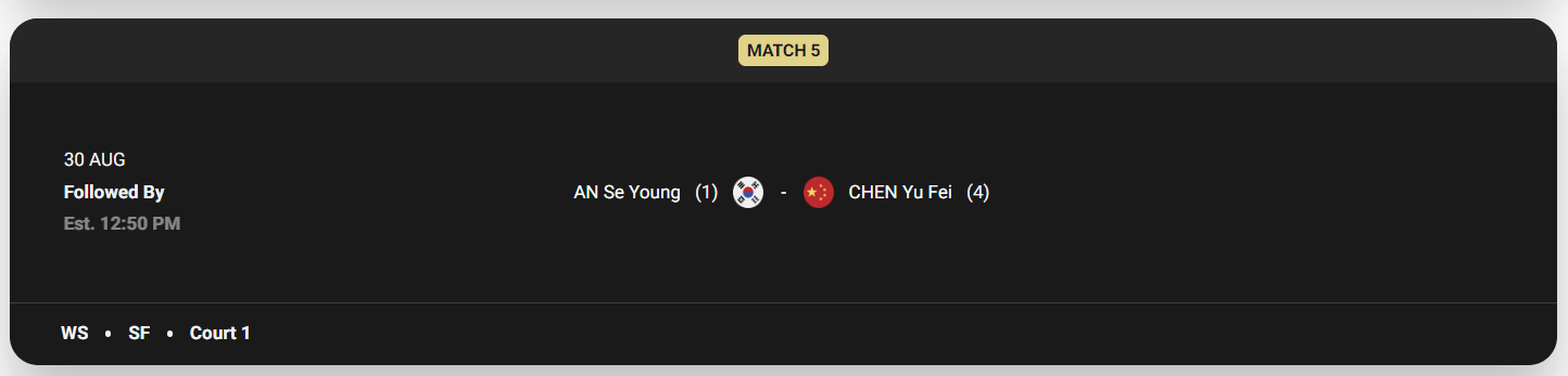 안세영 세계 배드민턴 선수권대회