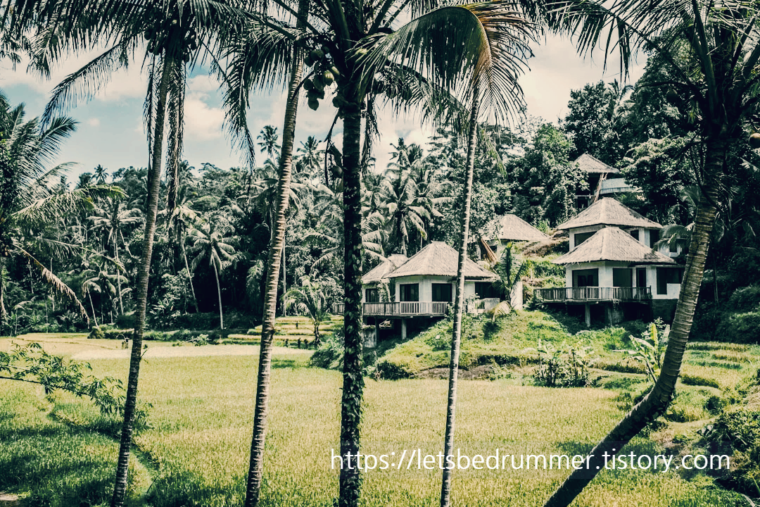 많이 찾은 해외 여행지