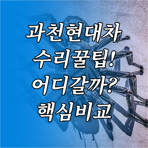 과천 현대차 오너를 위한 블루핸즈와 ..