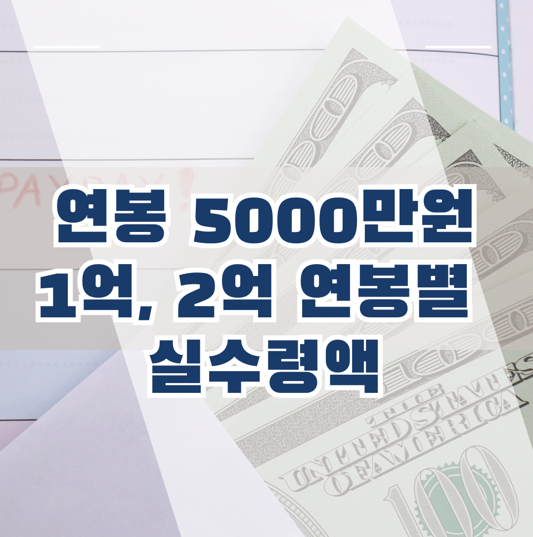 연봉 5000만원