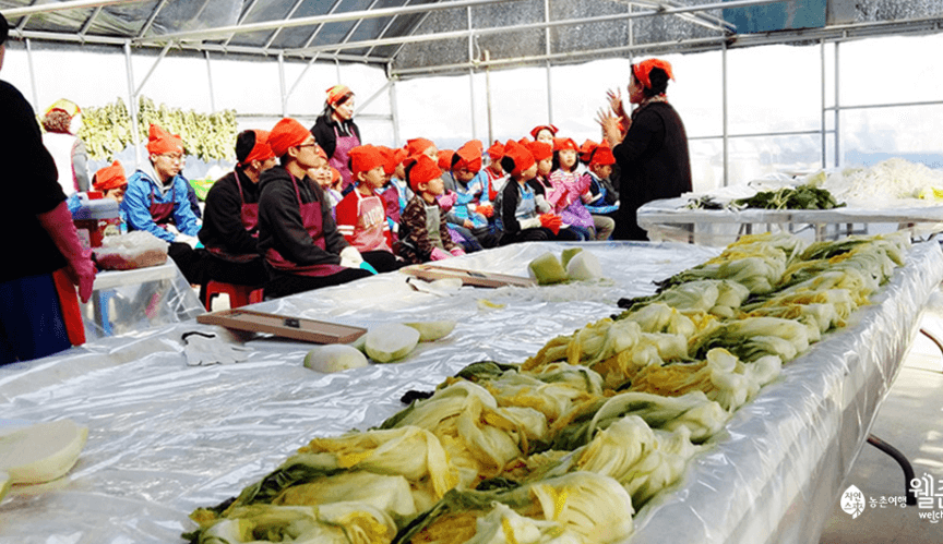 김장체험