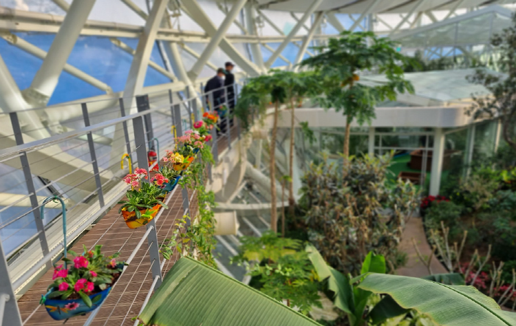 부천호수식물원 수피아