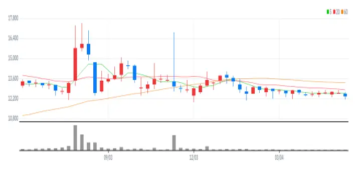 씨앤지하이테크 주봉