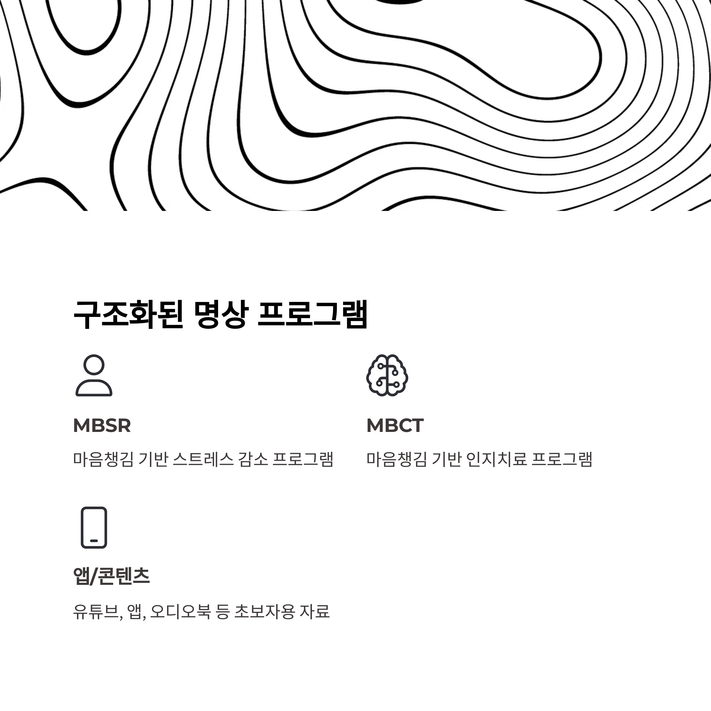 구조화된 명상 프로그램