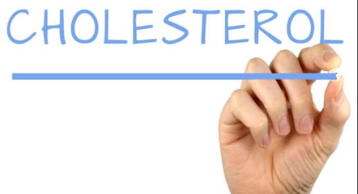 영어로 콜레스테롤