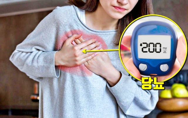 당뇨, 고혈압, 고지혈증, 폭염, 심장 돌연사, 여름, 건강, 팁줌마 매일꿀정보