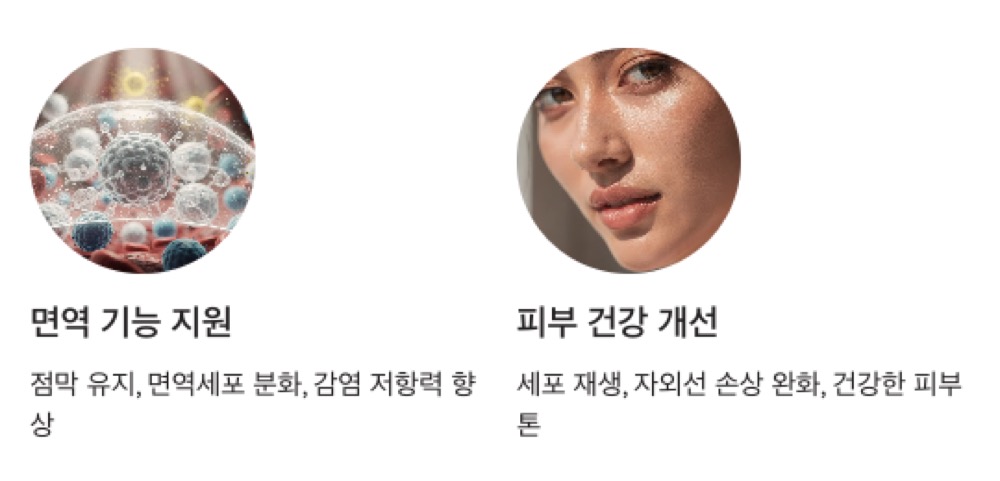 베타카로틴 피부 건강 개선
