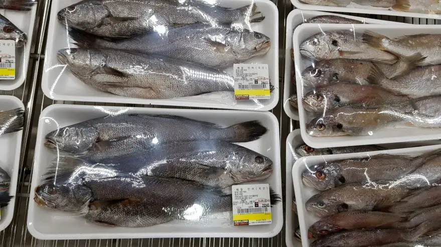 코스트코 해동 민어 국내산
■단가 1,899원 / 100g
■가격 18,990원