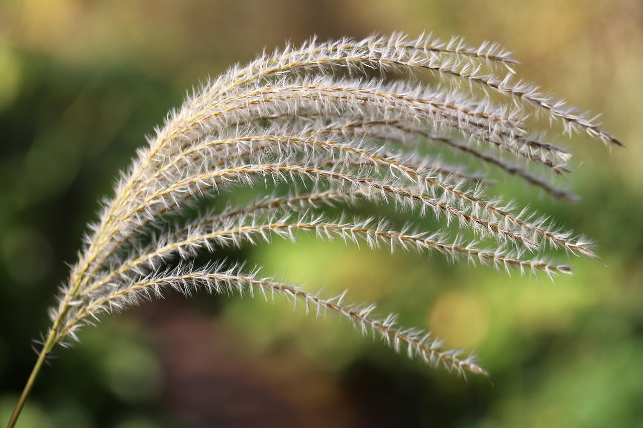 국립경주박물관 신라 금관 특별전 총정리 - 전시 일정·장소·예매·교통 정보 총 정리