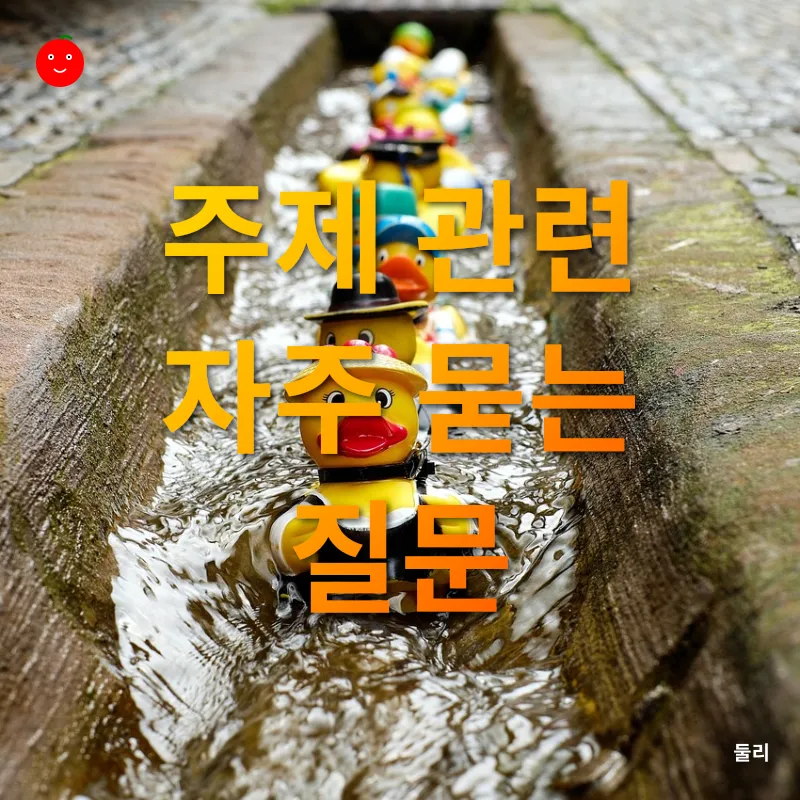 반려동물 장난감 만들기_4