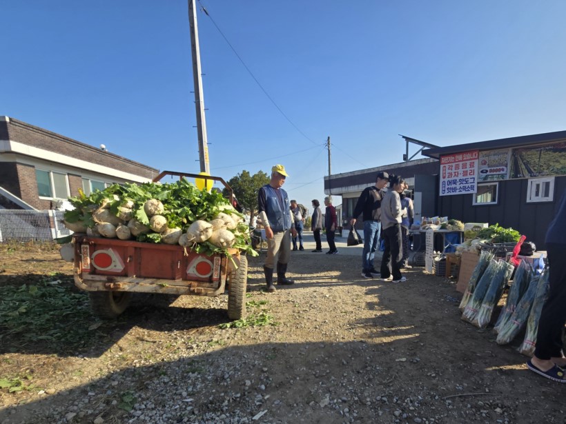 반계리 은행나무 CCTV 어디서 볼 수 있을까? 실시간 뷰 가이드