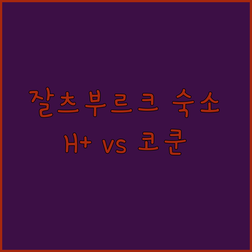잘츠부르크 여행 숙소 고민 끝 H+호