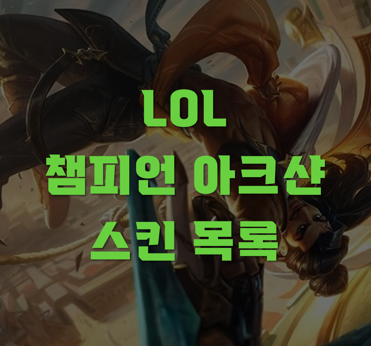 아크샨 스킨