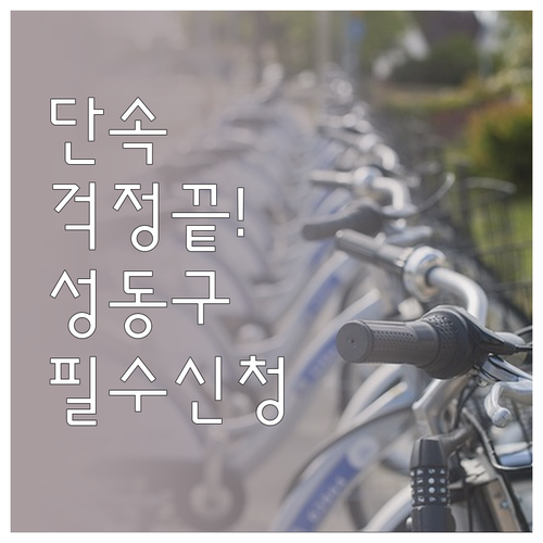 성동구 주차 단속 사전 알림 문자 서..