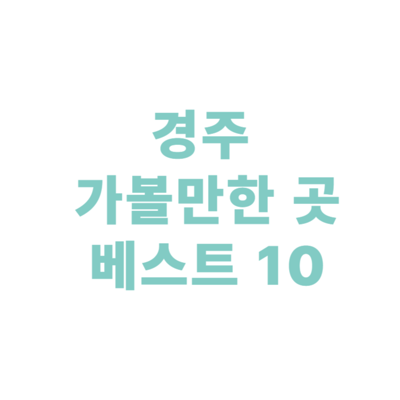 경주 가볼만한 곳 베스트 10 (2025 최신판)