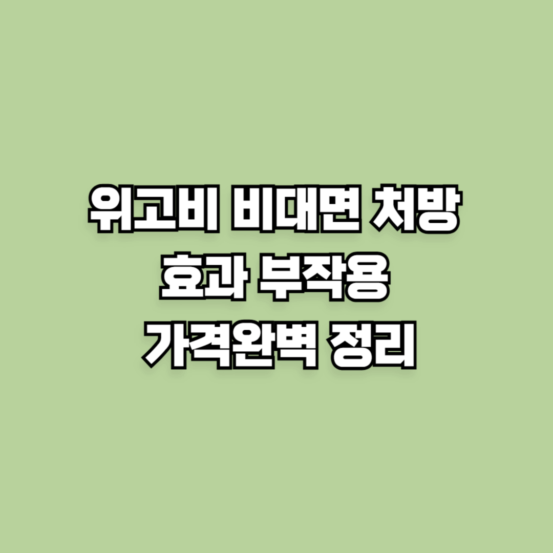 위고비 비대면 처방 효과 부작용 가격완벽 정리