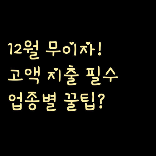 고액 지출 대비 12월 무이자 할부 ..