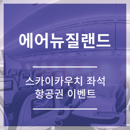 에어뉴질랜드 스카이카우치