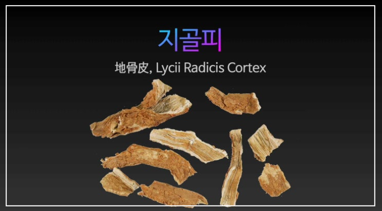 지골피