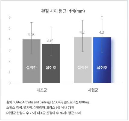 콘드로이친 효능