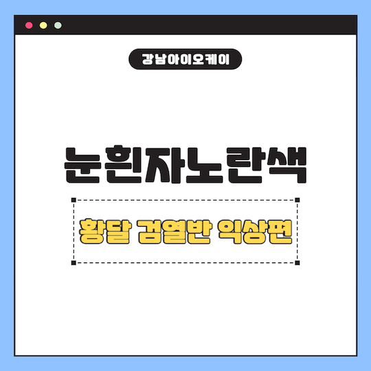 눈흰자노란색