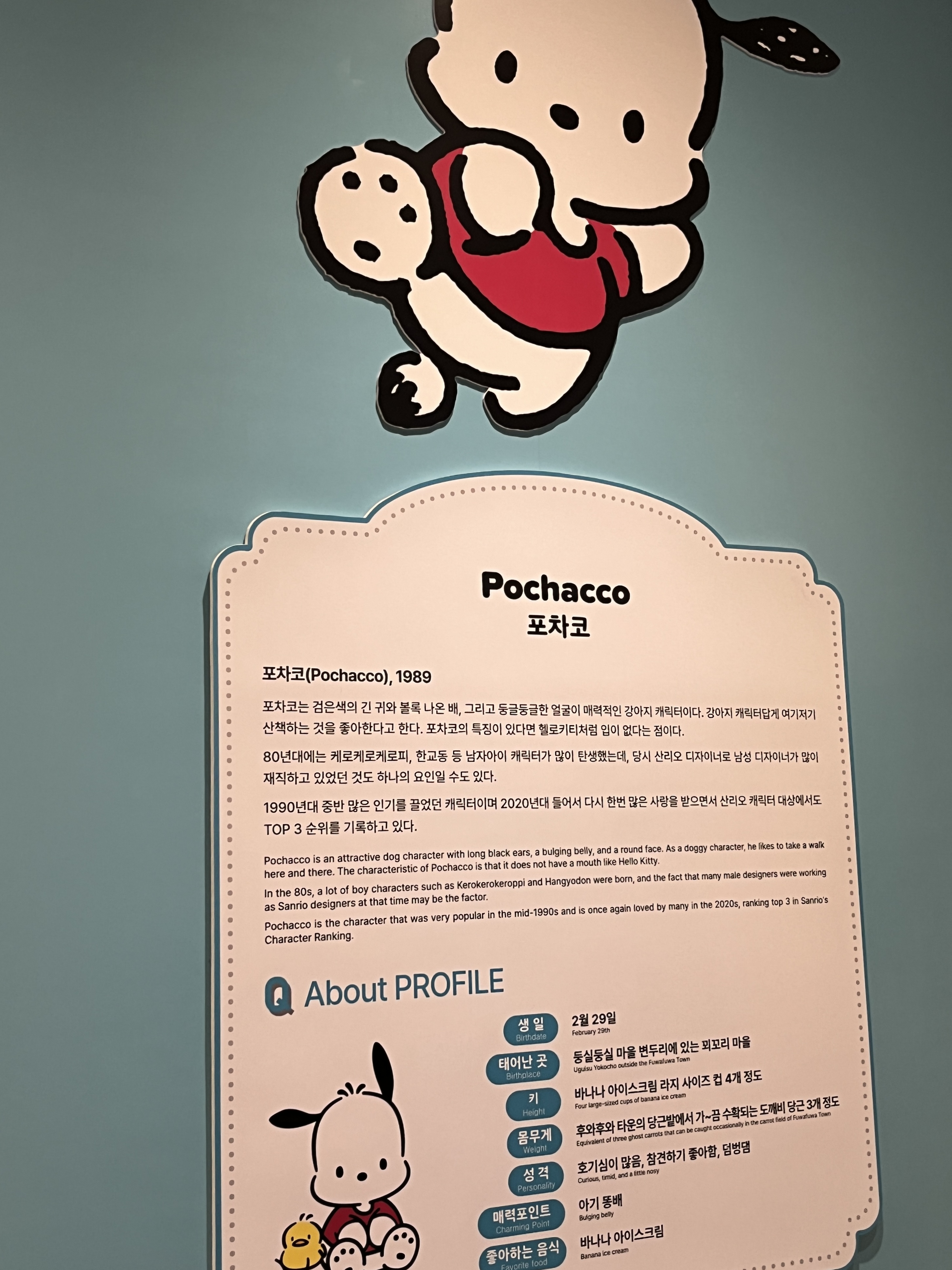 헬로키티 50주년 특별전