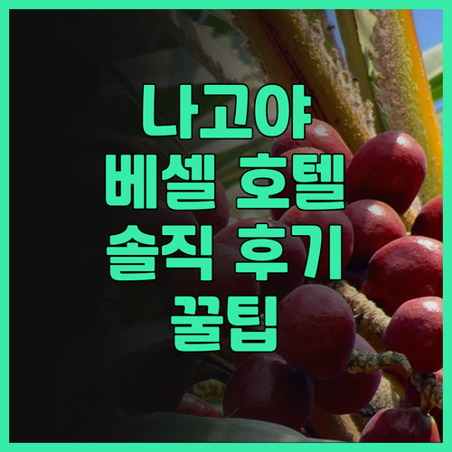 나고야 여행 필수 코스, 베셀 인 사