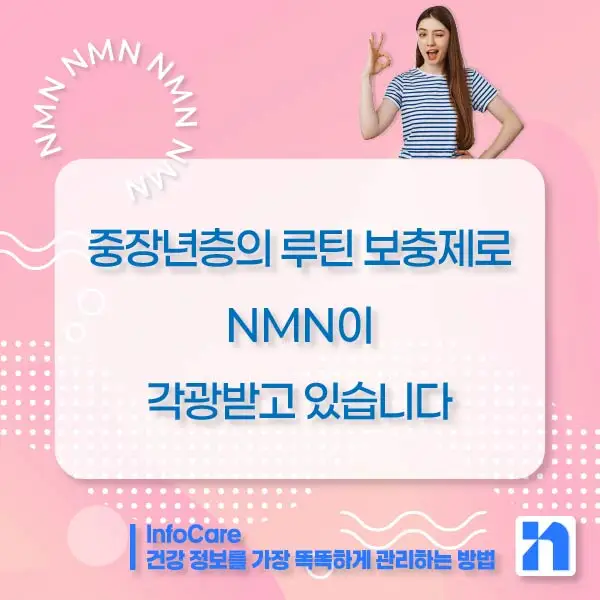 NMN 효능 효과 복용법