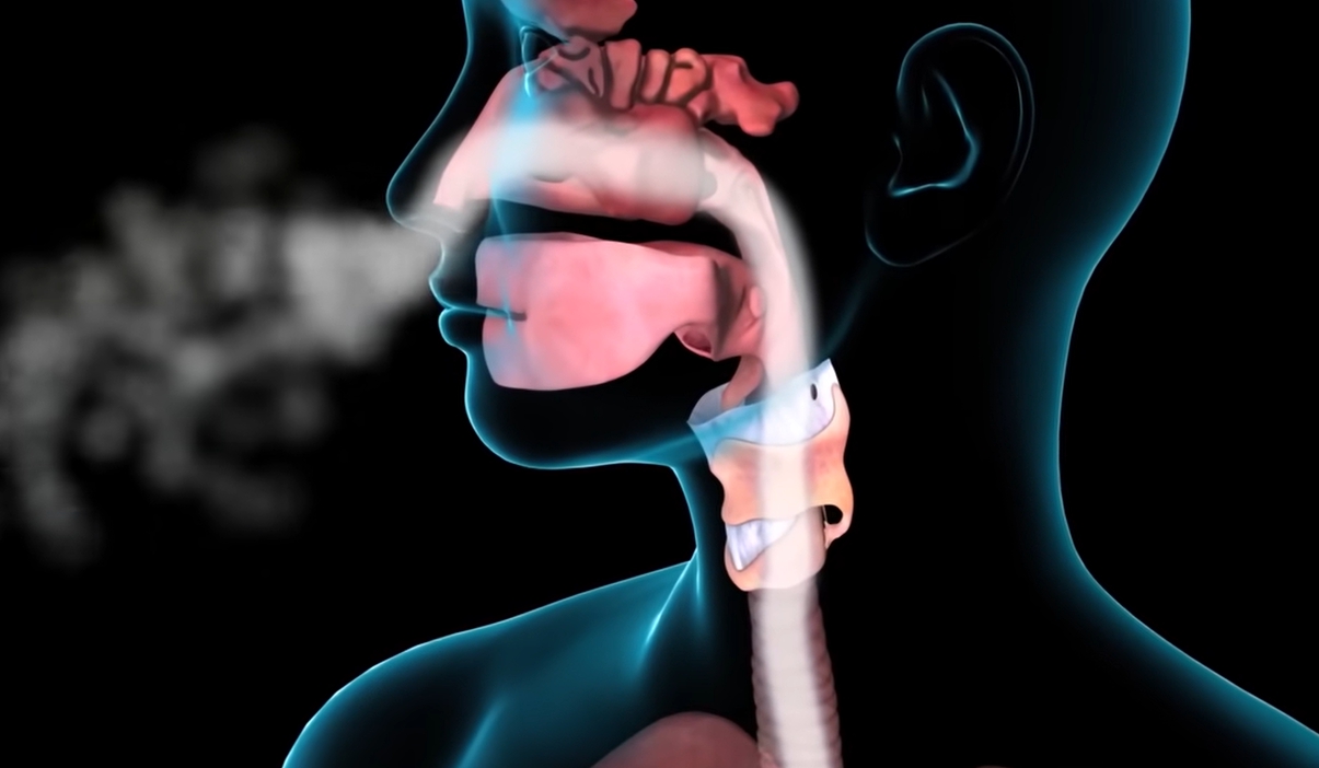 콧물이 계속 나는 이유