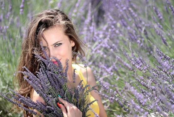 2025 무릉별유천지 라벤더 축제