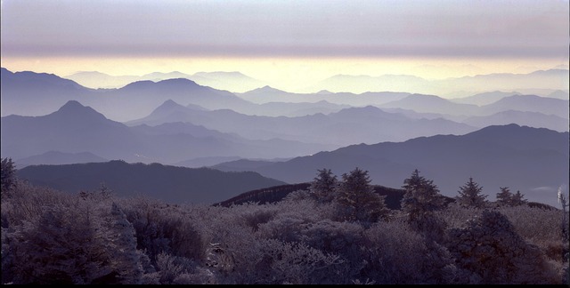 덕유산 자연휴양림