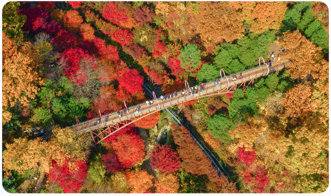 경기도 단풍 명소 곤지암 화담숲