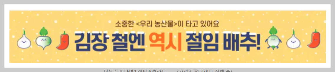 수경 재배 배추