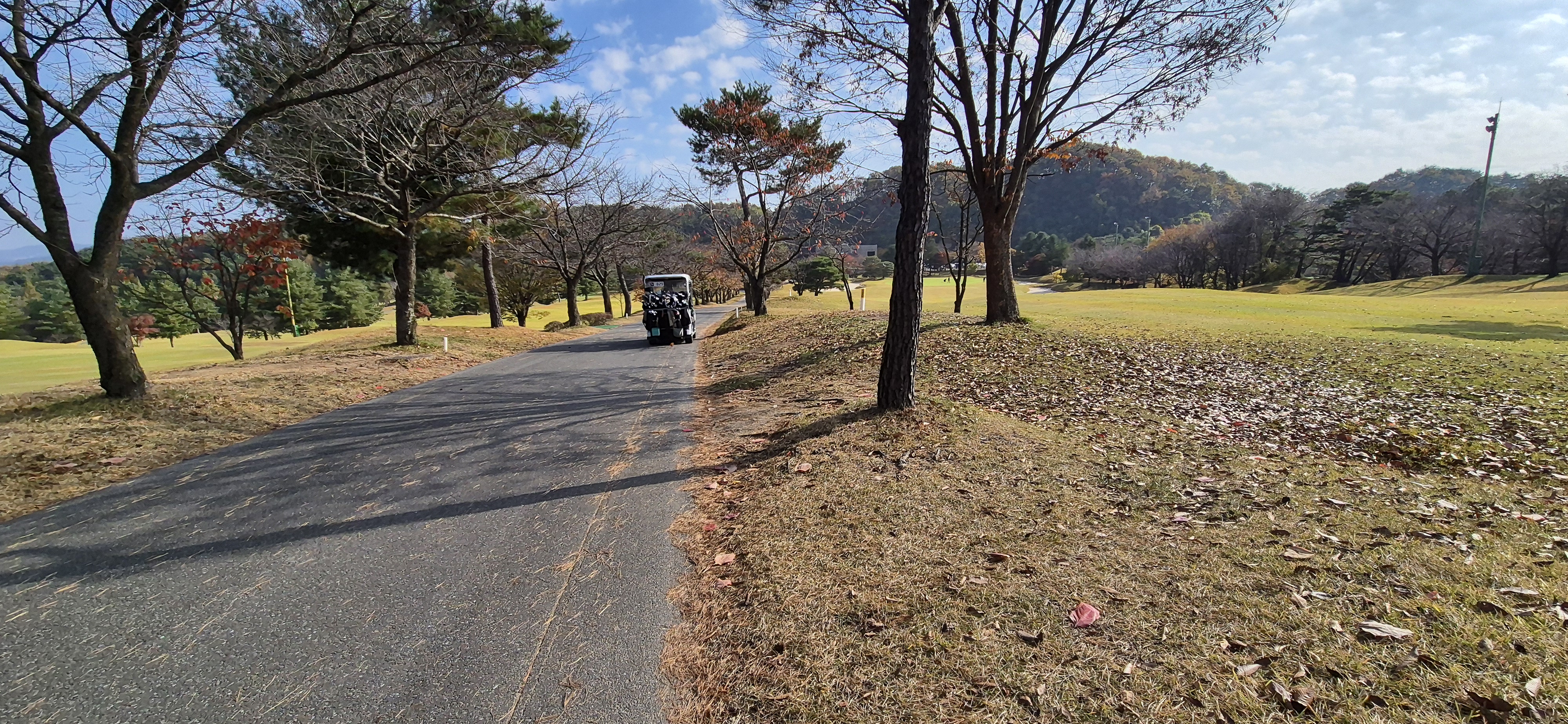 시그너스cc 라미코스 사진 및 공략 정보
