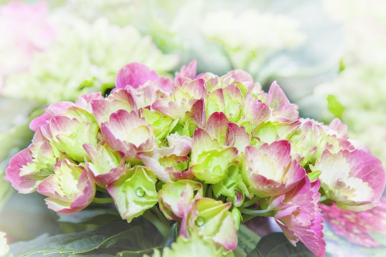 🌿 혼자 떠나는 화담숲 힐링 산책|조용한 루트 추천