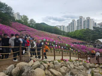 군포 가볼만한곳 베스트10 현지인 추천 필수코스_15