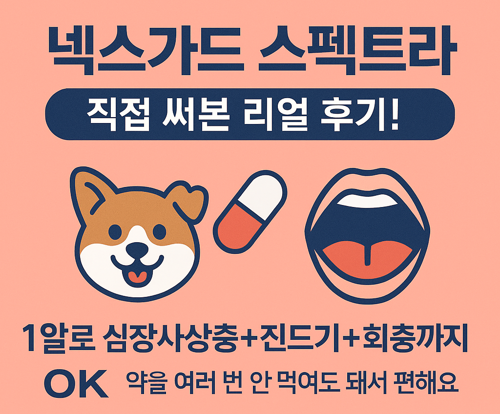 넥스가드 스펙트라