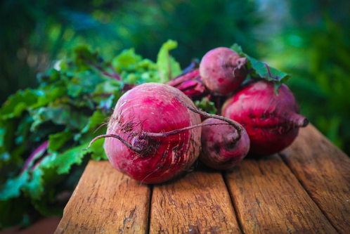 비트효능 보라색 비트사진