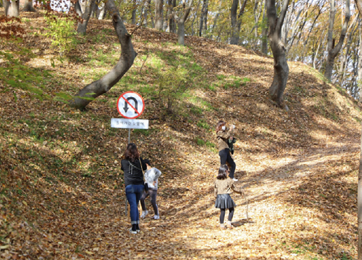 베어트리파크 낙엽