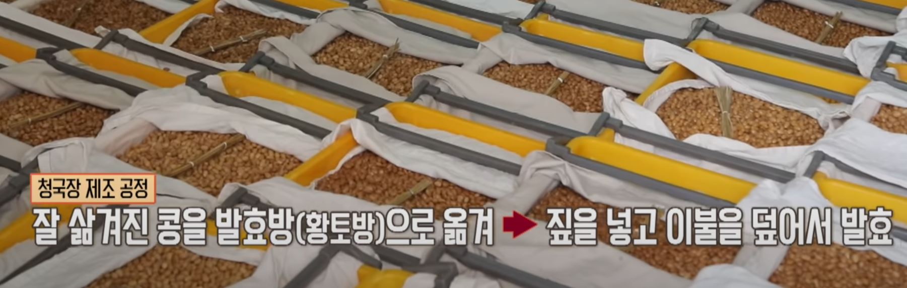 청국장가루추천