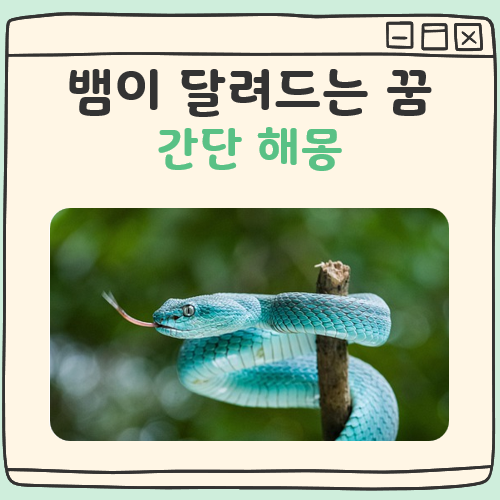 뱀이 달려드는 꿈 해몽 대표 이미지